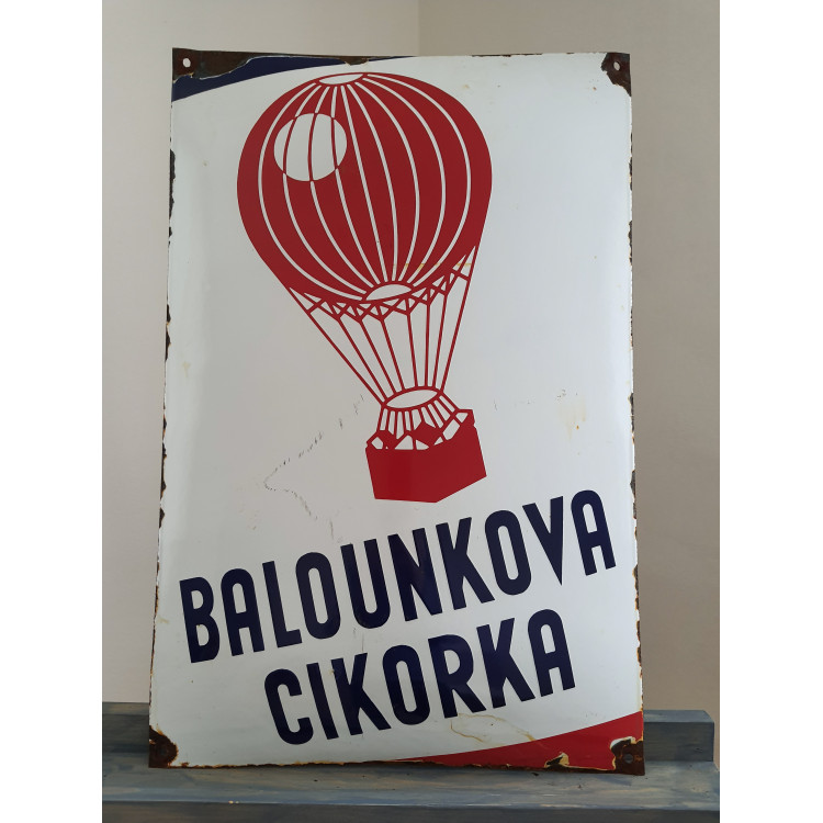 cikorka 1